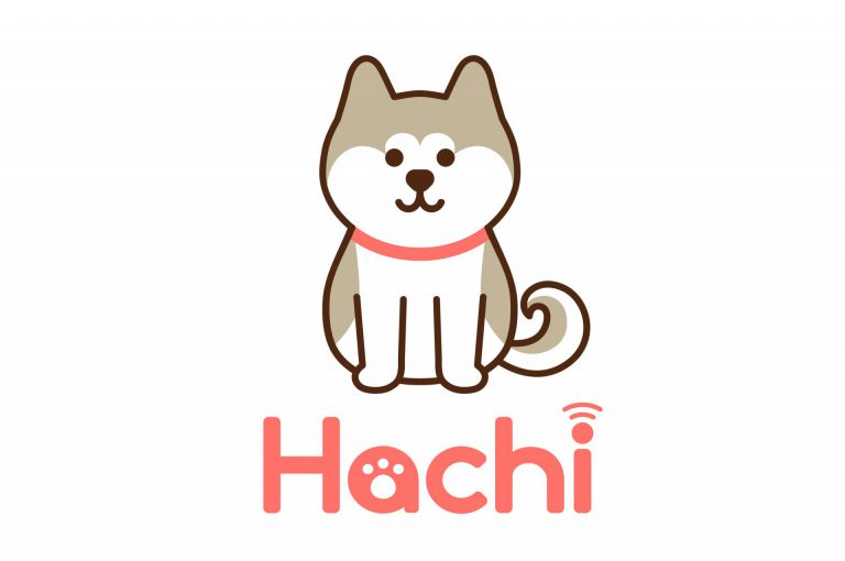 開発秘話その1 犬のキャラクター Hachi のデザイン誕生まで Ap Tech株式会社