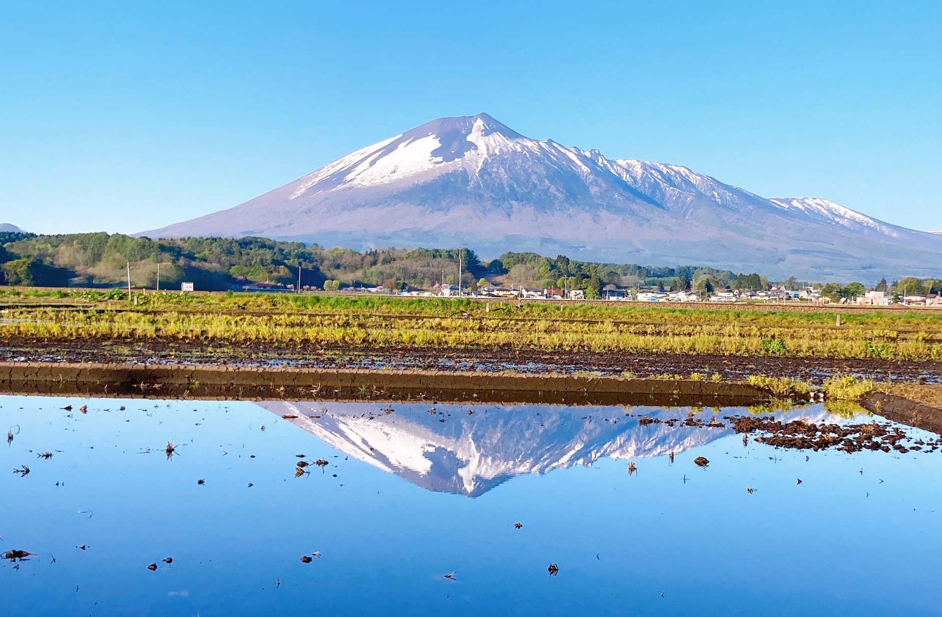春の名物・逆さ岩手山と富士山を比べてみました